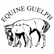First Responders in Bruce County Receive Specialized Large Animal Rescue Training