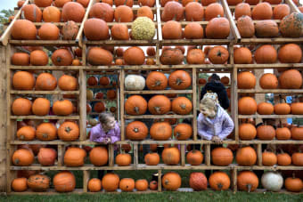 The Ultimate Guide to Fall Festivals in Canada 2025: Family Fun and Educational Adventures