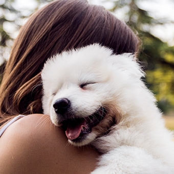 Give Back | Ladybird Animal Sanctuary