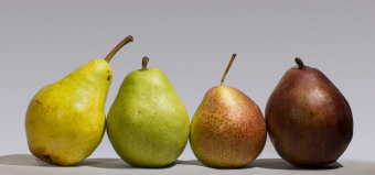 Not the simpleton of fruit