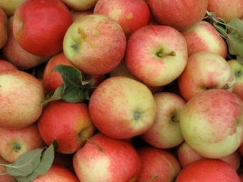 Niagara Produce: Is no one buying?