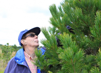 NiAGara: Farm Heroes and Agvocates — Charles Rhora of Rhora's Nut Farm and Nursery