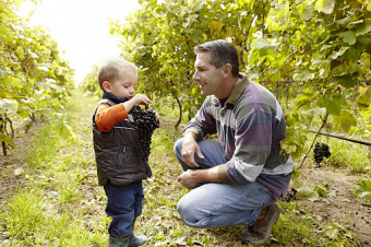 Getting to know grape growers: Trevor Falk