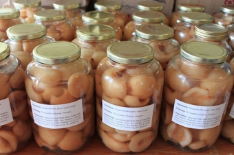 Canning for grades and the greater good