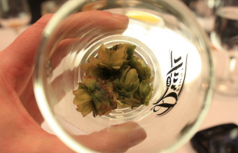Chocolate, beer and fermented dreams