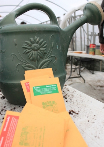 Getting my green thumb on