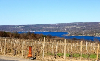 Where Niagara, BC and Germany collide