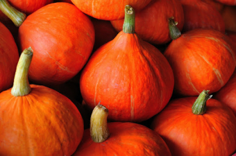Recipe for a family bond: An ode to a pumpkin