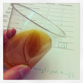 A tall glass of terroir: Judging Ontario's apple ciders
