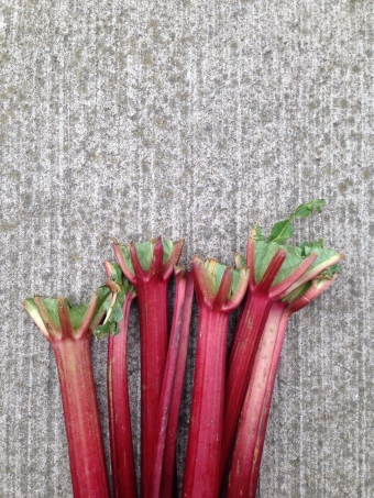 A week on repeat and rhubarb-ginger crisp