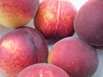 The Canadian Food Experience Project: A Niagara icon — the peach