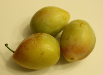 Props to the prune