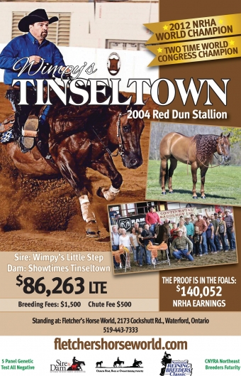 Wimpy's Tinseltown | Fletcher's | The Rider Marketplace