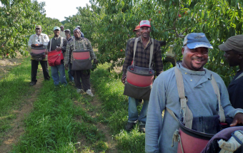 Thanking a farmer's worker