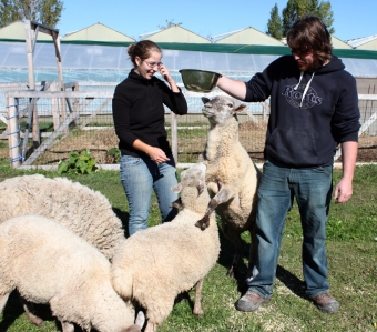 NiAGara: Farm Heroes and Agvocates — Creek Shore Farms