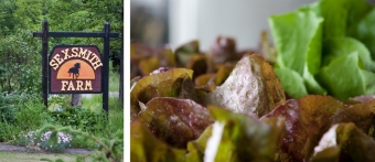 Dispatches from the South: CSA + Sexsmith Farm