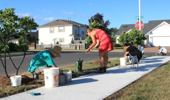 Stepping up Chive Walk