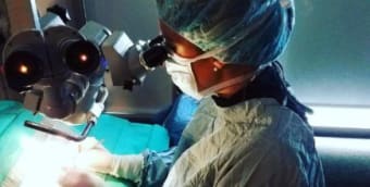 Diagnosis & Treatment of Canine Cataracts