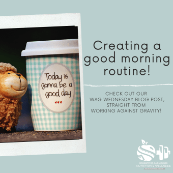 WAG Wednesday! Creating a Morning Routine.