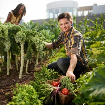 Agrihood Developments: Not Your Parents' Suburb