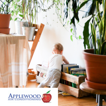 Green Living Tips for Your Home