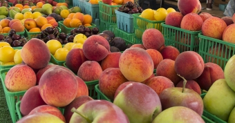 Have you checked out Twenty Valley's Farmers Markets?