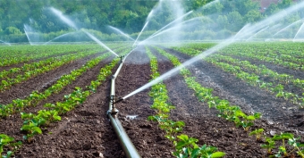 Our Irrigation Methods and Water Supply