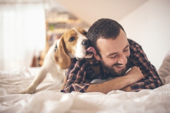 Case Study 2 - Rescue Dog Rudy