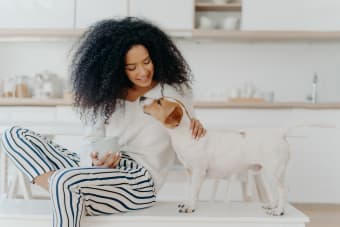 6 Things You Can Do To Keep Your Dog Healthy