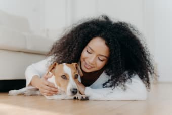 Tips For Helping Your Dog Recover From Surgery