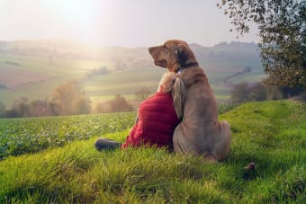 How To Choose a Pet for Your Family