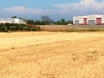 Another successful harvest for Food Grains Project