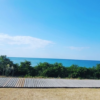 Summer heats up in Niagara's Twenty Valley