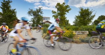 Cycling in Niagara's Twenty Valley