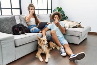 Help! Why Does My Dog's Breath Smell So Bad?