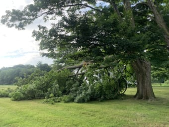 Storm Hits Pelham
