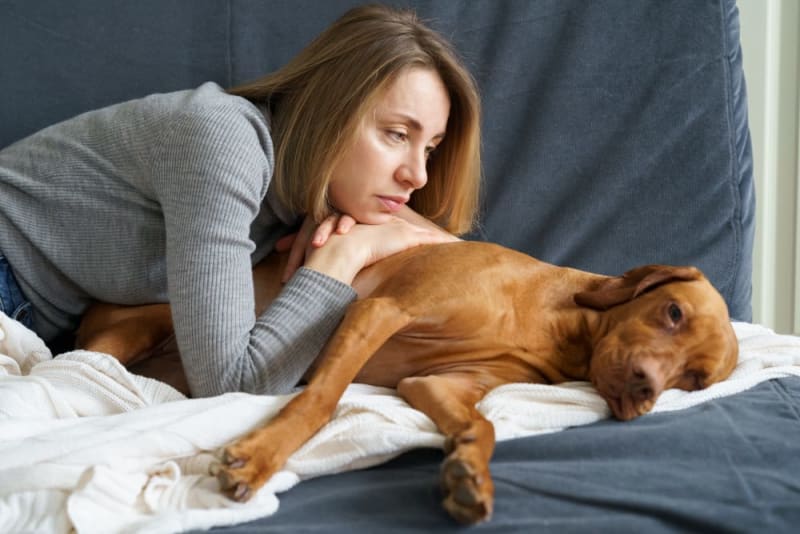 Dog Behavior Change After Vaccination Kinston Vets