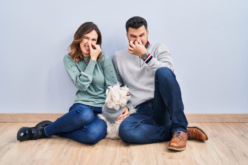 Why Does My Dog's Breath Smell so Bad? Santa Clarita Vets