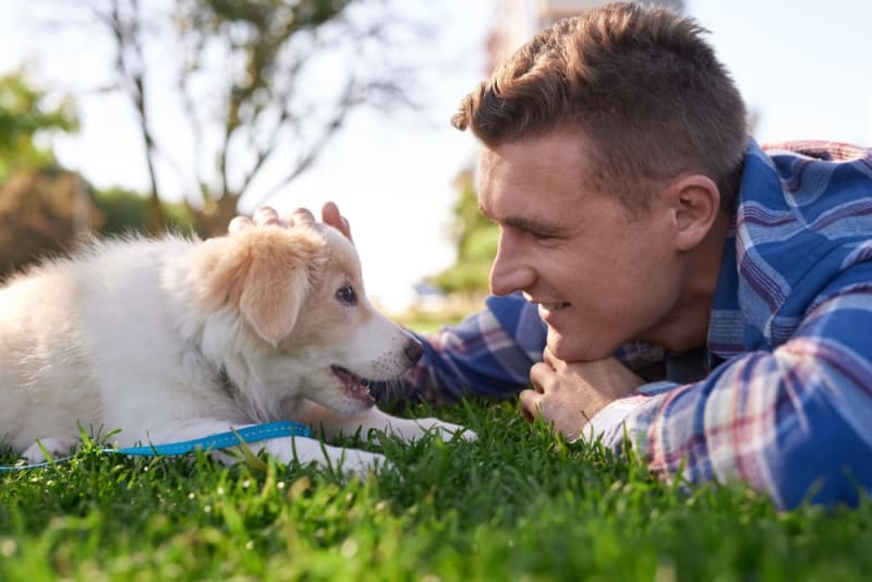 Pup Rise How to Raise a Puppy: Guide for the First Year | Mandeville Vets