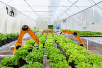 Appraisals for Agri Equipment: What You Should Know