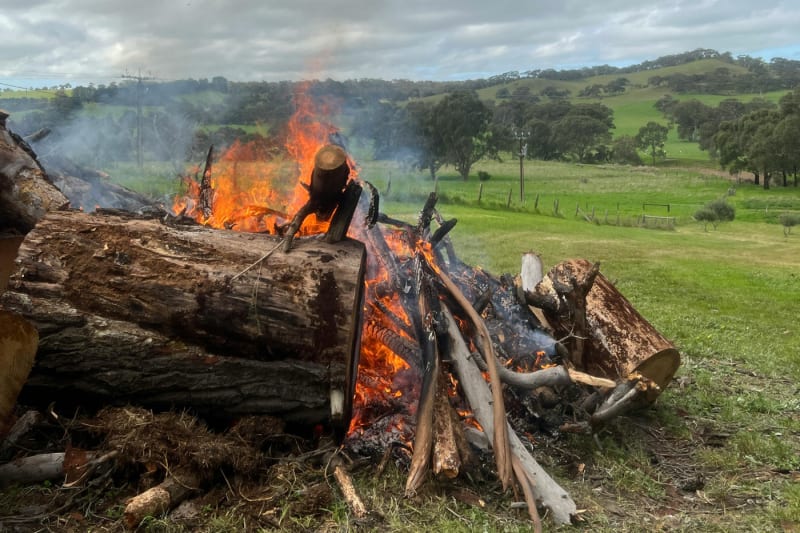 Rural Burn Piles: Safety Tips to Keep Your Fires Controlled (and Your Property Unscorched)