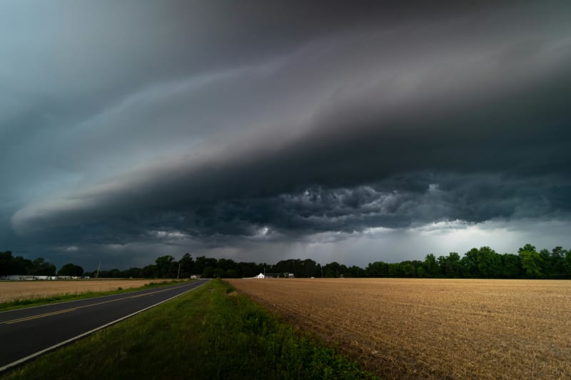 How to Reduce Your Risk Related to Wind Damage