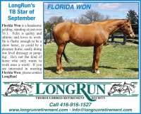 LongRun Thoroughbred Retirement Society