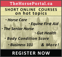 Equine Guelph