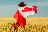 Explore Canada’s Provincial Nominee Programs in 2025