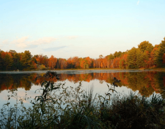 Heritage & Lakeside Adventures: Doors Open Gravenhurst | September 20, 2025