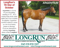 LongRun Thoroughbred Retirement Society