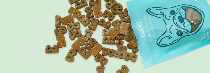 A Kiss Assist for You and Your Dog