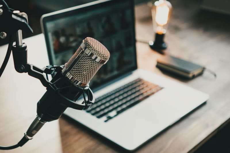 Dr. Erb Talks About Pet Care on Local Podcast