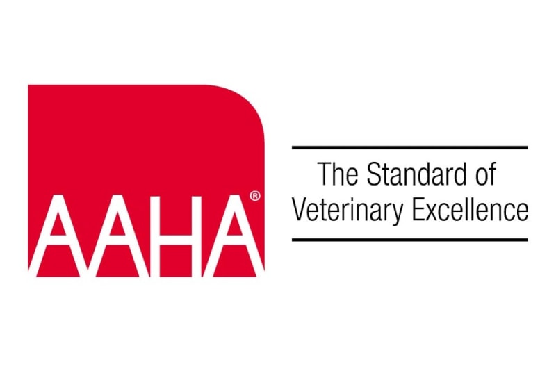 We Are Excited to Annouce That We Are Now an AAHA-Accredited Animal Hospital!